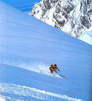 新版 山スキー・テレマーク・クロカンはどう違う？